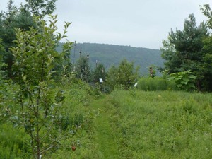 Les Jardins du Grand Portage à St-Didace; de drôles de sculptures au pied de la belle montagne Prise par Nicole Sanschagrin