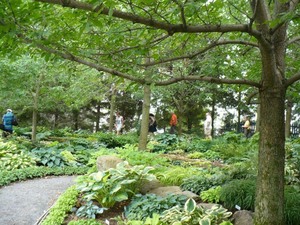 Les Jardins Osiris à St Thomas de Joliette; ici, les hostas tiennent la vedette Prise par Nicole Sanschagrin