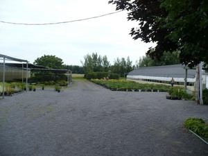 Les Jardins Osiris à St Thomas de Joliette; on pouvait y faire de bons achats Prise par Nicole Sanschagrin 