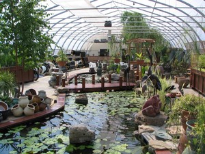 Les jardins chez Aqua-Plantes Prise par Claude Bergeron 